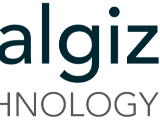 Algiz Logo 800px